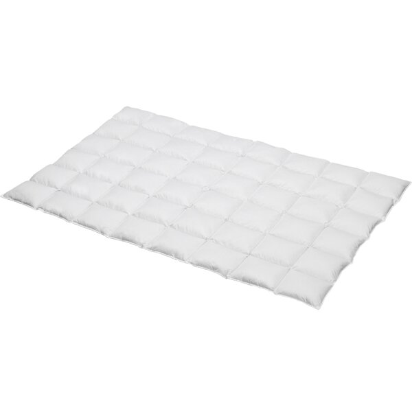 Baretti Premium Daunen Steppbett
